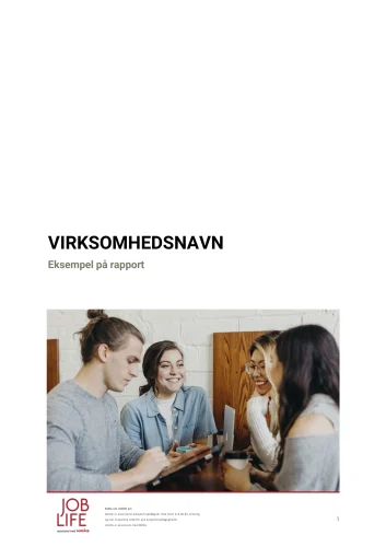 Rapport APV standard (eksempel) Uddrag_page-0001