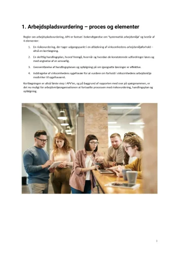 Rapport APV standard (eksempel) Uddrag_page-0003
