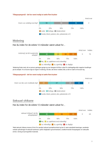 Rapport APV standard (eksempel) Uddrag_page-0009