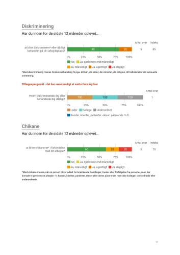 Rapport APV standard (eksempel) Uddrag_page-0011