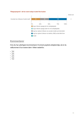 Rapport APV standard (eksempel) Uddrag_page-0012